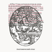 Анатомический атлас