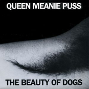 Big Madonna by Queen Meanie Puss