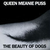 The Beauty of Dogs