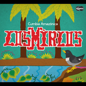 Los Mirlos: Cumbia Amazonica