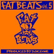 Fat Beats, Vol. 5 (Produced By DJ Ice One)