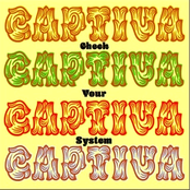 Captiva: Check Your System