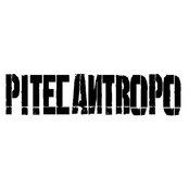 Pitecantropo