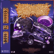 Peeling Flesh: The G Code