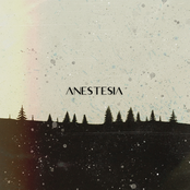 Anestesia