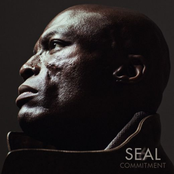 You Get Me by Seal