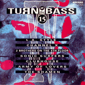 Turn up the bass - volume 15