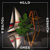 Earthquakes by Wild Ones