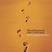 I Ran (So Far Away) [The Liongold Remixes]
