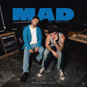 MAD (Matt Pridgyn Remix) - Single