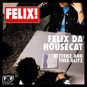 Felix Da Housecat: Kittenz and Thee Glitz
