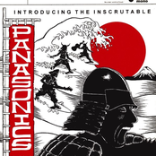 Introducing the Inscrutable Panasonics