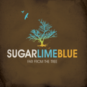 Sugar Lime Blue: Far From the Tree
