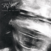 Screaming Out Into Nothing