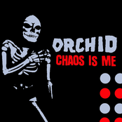 Invasion U.s.a. by Orchid