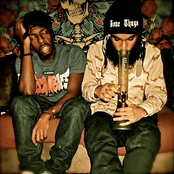 Flatbushzombies