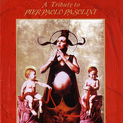 Tribute To Pier Paolo Pasolini
