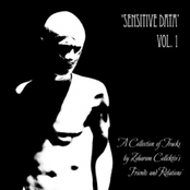 Sensitive Data Vol. 1