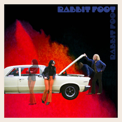 Rabbit Foot