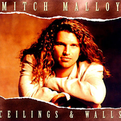 Ceilings And Walls by Mitch Malloy