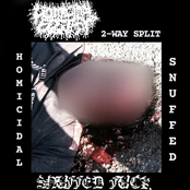 2 (Way Split) - Single