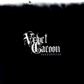 Ambient Planet by Velvet Cacoon