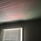 When I Grow Up I Want to Be Carried Away by Owls