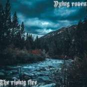 The rising fire