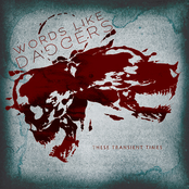 These Transient Times