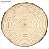 Bathysphere by Bill Callahan