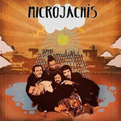 Microjachís