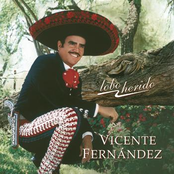 Poquita Fe by Vicente Fernández