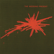 The Wedding Present - Bizarro Artwork