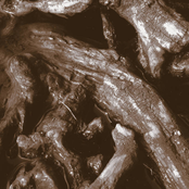 Schnee (III) - Füür Rouch Ruäss