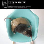 The Pet Series volume 6, the mouse
