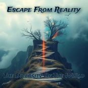 The Diversity of the World