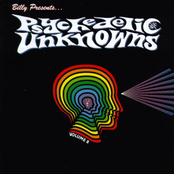 Psychedelic Unknowns Vol. 8