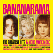 The Greatest Hits & More More More