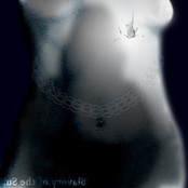Slavery of the Sun