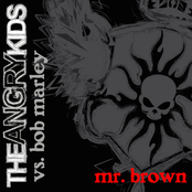 Mr. Brown