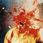 PUKEIN' ON A COCK IN THE GRAVEYARD