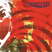 Psychedelic Minds Vol.1 (1967-71)