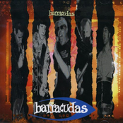 The Barracudas