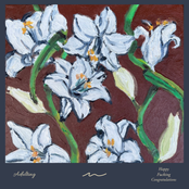 Happy Fucking Congratulations