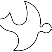 flightless bird (iron & wine cover)