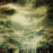 SFADL - Soundtrack For A Dysfunctional Landscape