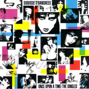 Playground Twist by Siouxsie And The Banshees