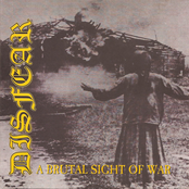 A Brutal Sight Of War by Disfear