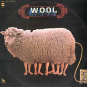 Wool