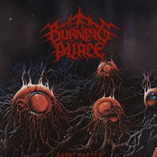 Burning Palace: Dark Matter